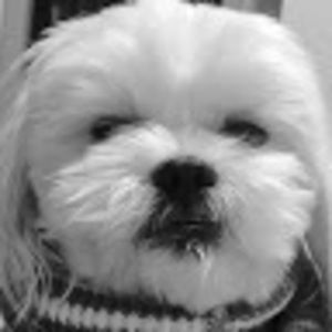 Meet your Posher, Huiyi